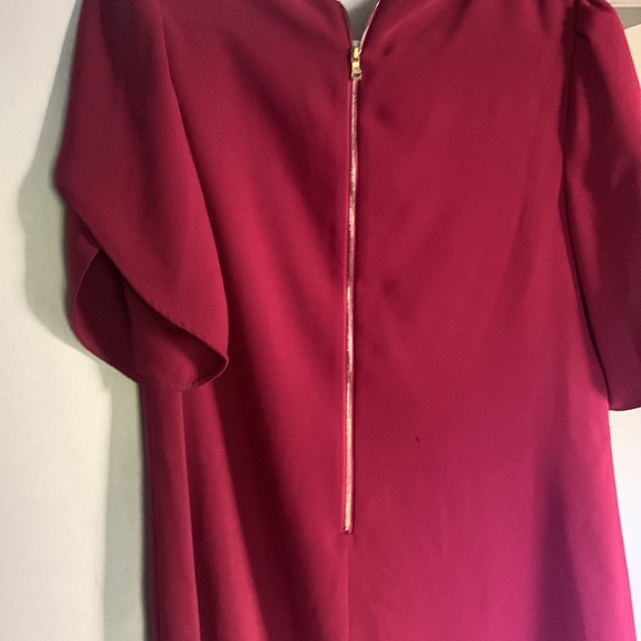 Beautiful zip back dress - Picture 4 of 5